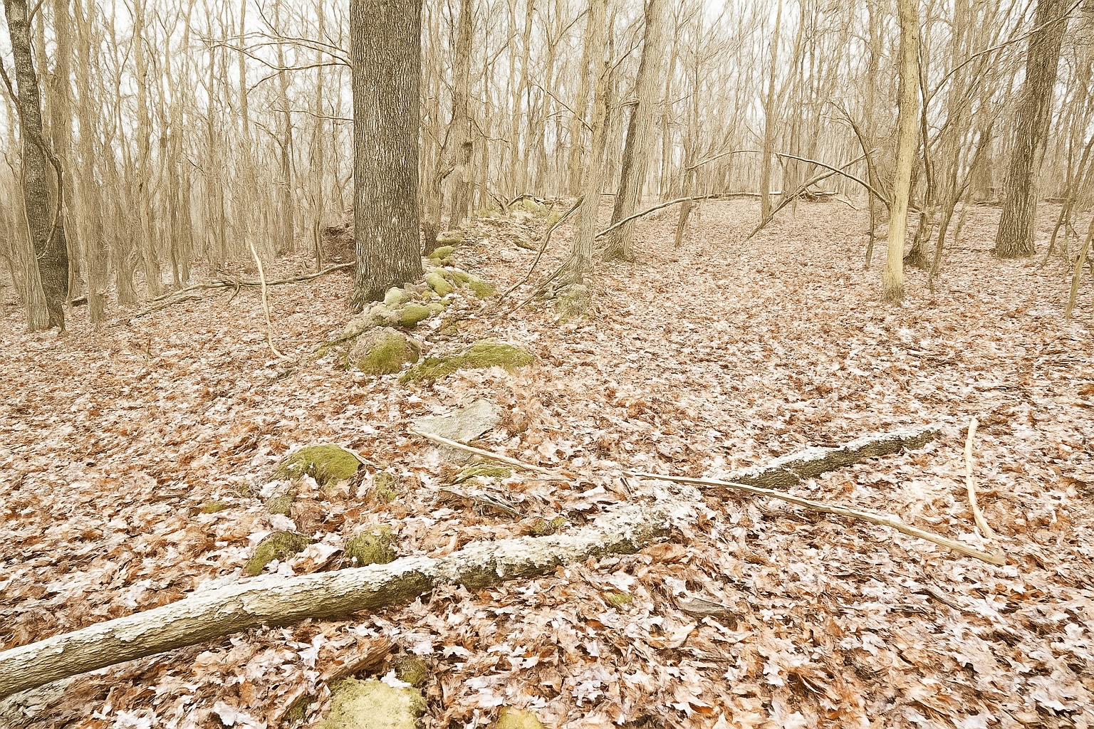 Support the Oseinti Prayer Mountain Project – Vernon, Connecticut